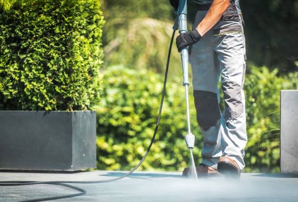 Best Roof Washing  in Monticello, GA